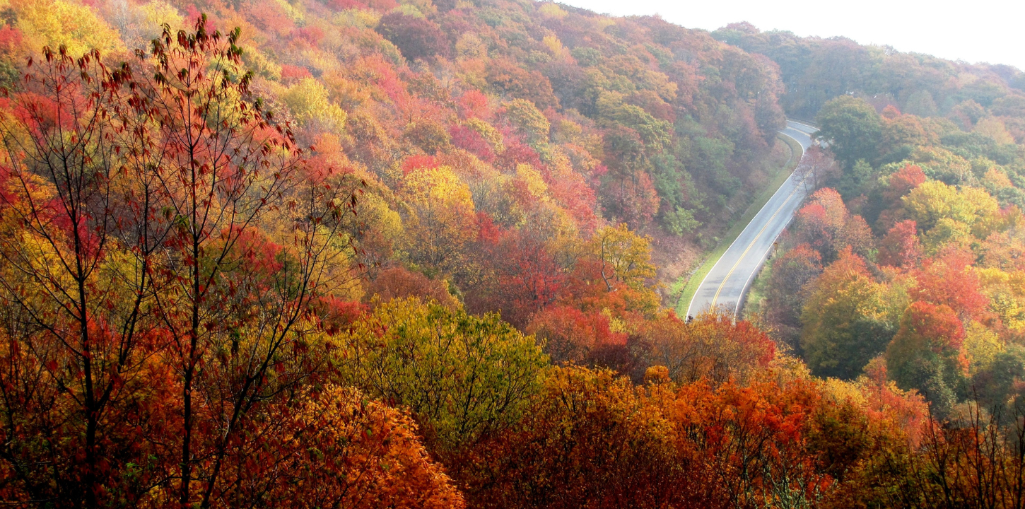 Fall landscape with road going upward into the hills.